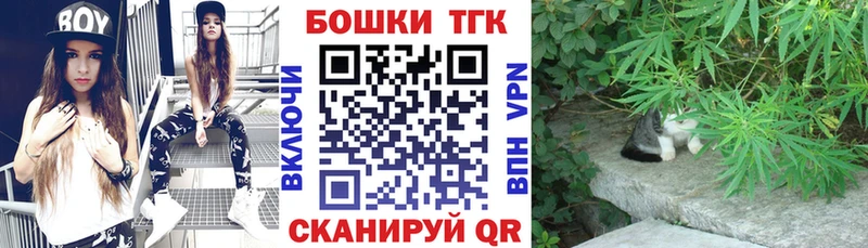 Канабис сатива  Краснообск 